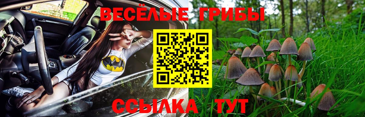 Галлюциногенные грибы Cubensis  Вход с VPN  Менделеевск 